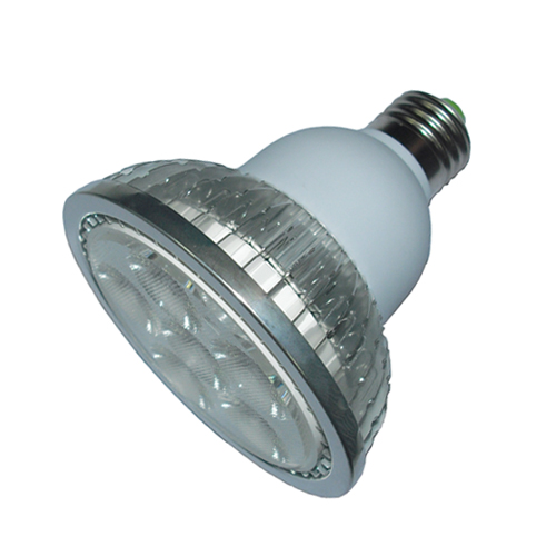 LED Spotlight PAR30 12W