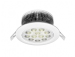 LED Ceiling Light 12*1W