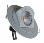 LED Gimble Down Light 10W