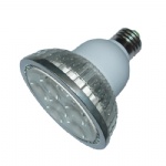 LED Spotlight PAR30 12W