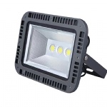 COB LED Flood Light