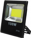 LED Flood Light COB